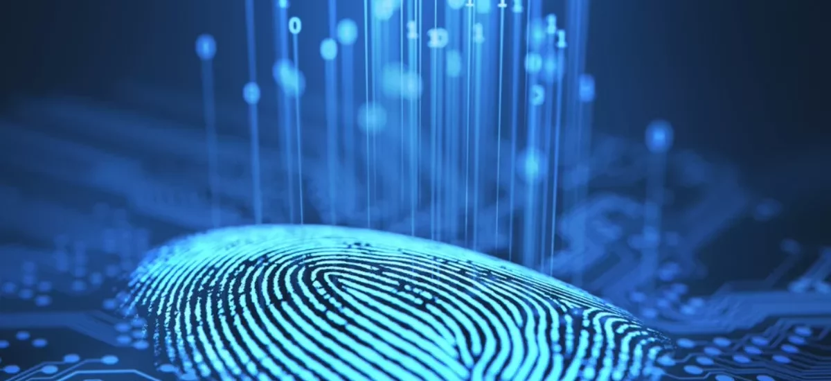 Top 5 Biometric Security Approaches to Guard New Year’s Eve Festivities